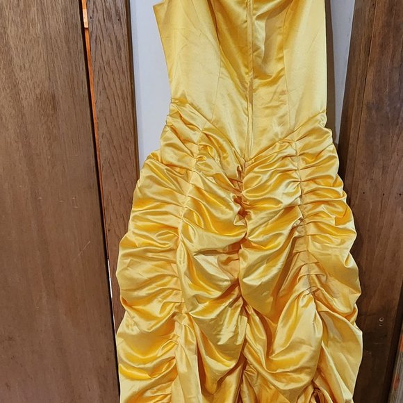 Beauty and the Beast formal gown - Picture 4 of 5